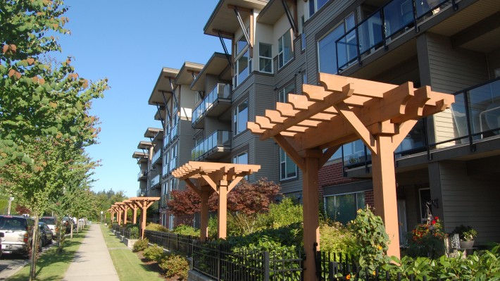 Image of The Crossing